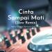 Download Gudang lagu mp3 Cinta Sampai Mati (Slow Remix)