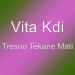 Download lagu Tresno Tekane Mati mp3 di zLagu.Net