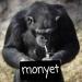 Music monyet - jangan lupa makan yaaa baru