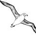 Download musik (Vina Panduwinata) Burung Camar gratis - zLagu.Net