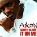 Download lagu mp3 Terbaru Akon - Sorry Blame It On Me (Queiler Blend)