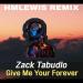 Free Download lagu Zack Tabudlo - Give Me Your Forever (HMLEWIS REMIX) terbaru di zLagu.Net