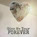 Download Give Me Your Forever (Cover) lagu mp3 baru