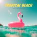 Download musik Tropical Beach（Nature Sounds） terbaru