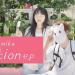 Download lagu mp3 「フィクション(Fiction) Sumika 」│Covered by 김달림과하마발 gratis