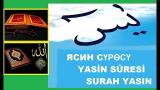 Music Video The Surah Yasin in the Holy Qur'an - Surah Yasin - Kuran-ı Kareem Terbaru di zLagu.Net