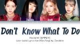 Download Video BLACKPINK - Don't Know What To Do (Color Coded Lyrics Eng/Rom/Han/가사) |Jendukie Gratis