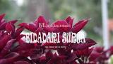 Download Video Lagu Ustadz Jefri Al Buchori (Uje) - adari Surga (Official Lyric Audio) Music Terbaru