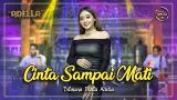 Video Lagu CINTA SAMPAI MATI - Difarina Indra Adella - OM ADELLA ( dengarkanlah di sepanjang malamku ) Music Terbaru - zLagu.Net