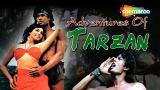 Video Music Adventures Of Tarzan | Kimmy Katkar | Hemant birje | Bollywood Romantic Movie Terbaru