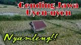 Download Lagu Uyon Uyon (Gending Jawa) Pengantar ur (Siang & Malam) Music