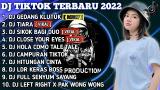 Music Video DJ TIKTOK TERBARU 2022 - DJ EFEK GEDANG KLUTUK X TIARA | VIRAL FULL BASS Terbaru