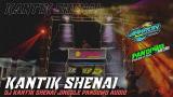 Video Lagu Dj Cek Sound Kantik Shenai • Jinggle Pandowo Audio • Bakron Remixer Musik Terbaru