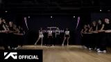 Download Video BLACKPINK - ‘Pink Venom’ DANCE PRACTICE VIDEO Gratis - zLagu.Net