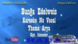 Music Video Bunga Edelweis Thomas Arya Karaoke No Vocal Gratis di zLagu.Net