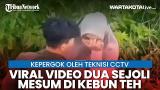 video Lagu Viral eo Dua Sejoli Mesum di Kebun Teh Karanganyar, Kepergok oleh Teknisi CCTV Music Terbaru
