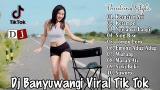 Video Lagu Music Kumpulan Dj Viral Tik Tok Terbaru ~ Full Album Dj Banyuwangi || Dj Tik Tok Terbaru 2023 Gratis