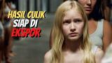Video Musik Gila‼️Kumpulan gadis bawah umur gampang baper sengaja diculik dan dijadikan bahan dagangan Terbaru