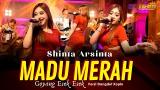 Free Video Music Shinta Arsinta - MADU MERAH secangkirmadumerah ( Rock Dangdut Koplo Version)