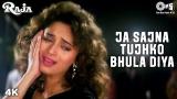 Download Lagu Ja Sajna Tujhko Bhula Diya - Raja - Sanjay Kapoor & Madhuri Dixit Terbaru